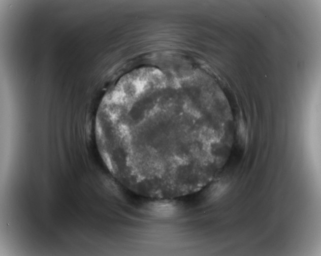 X0000086260668200704261957