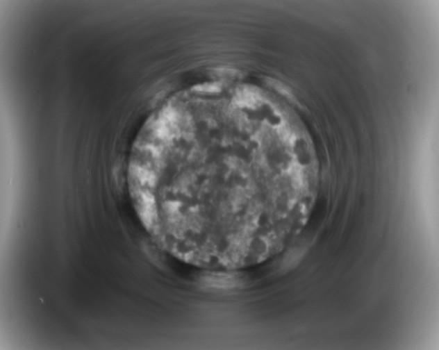 X0000086260671200704261957