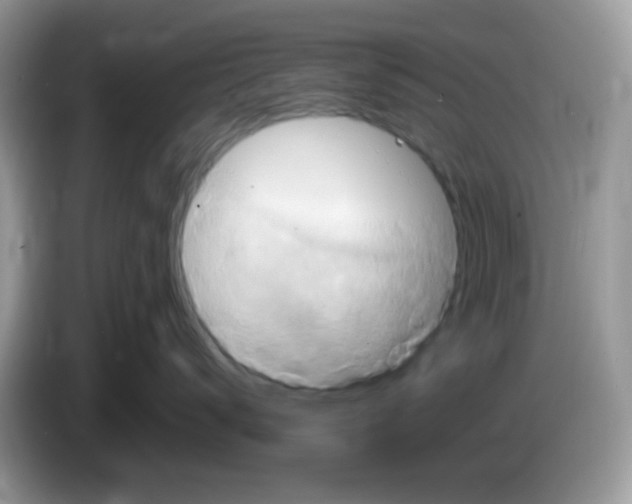 X0000086260672200704261957