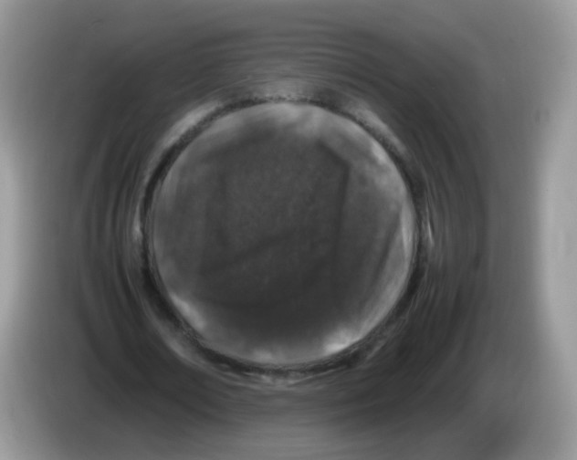 X0000086260674200704261956
