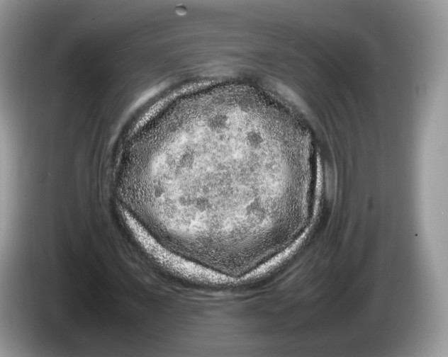 X0000086260675200704261956