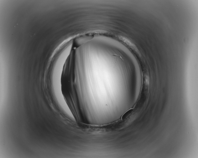 X0000086260676200704261956