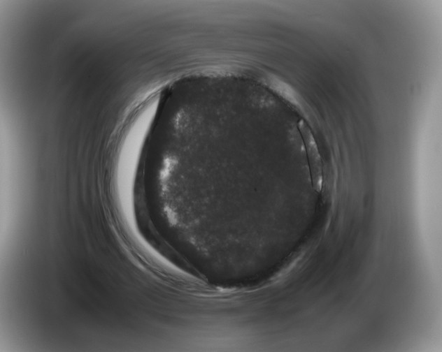 X0000086260677200704261956