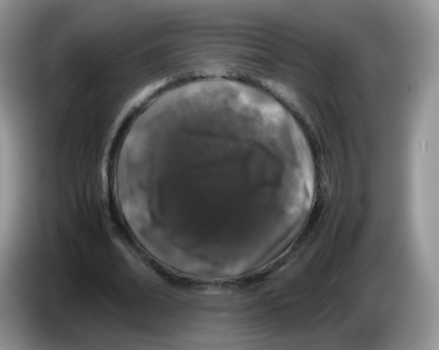 X0000086260678200704261956
