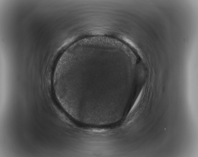 X0000086260681200704261956
