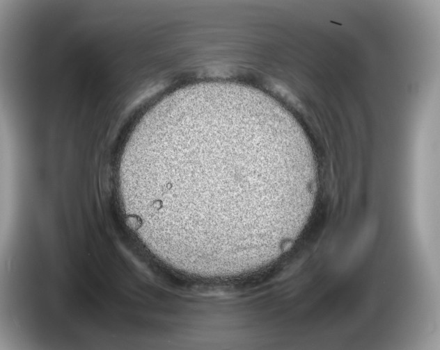 X0000086260683200704261956