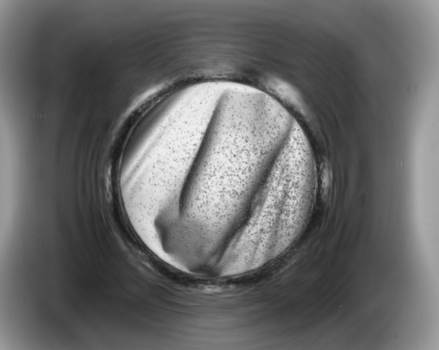 X0000086260684200704261956