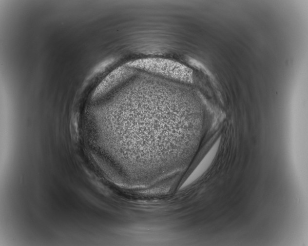 X0000086260688200704261956