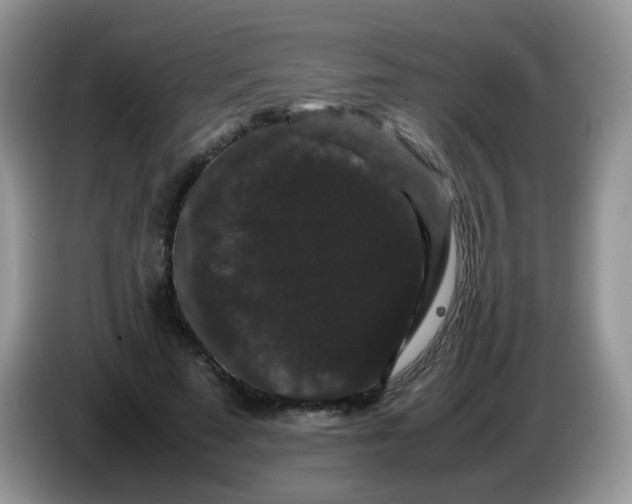 X0000086260689200704261956