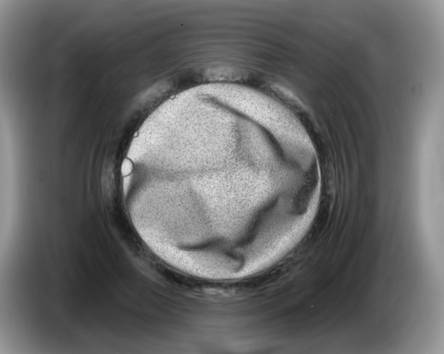 X0000086260690200704261956