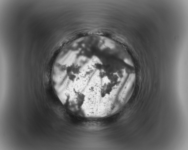 X0000086260691200704261956