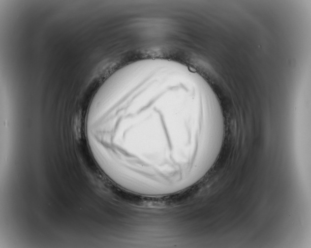 X0000086260694200704261956