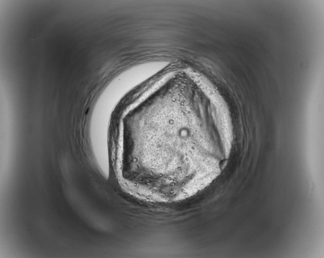 X0000086260695200704261956