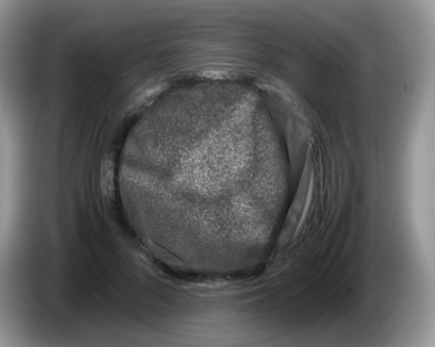 X0000086260696200704261956