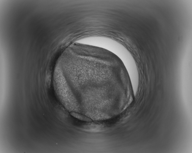 X0000086260697200704261956