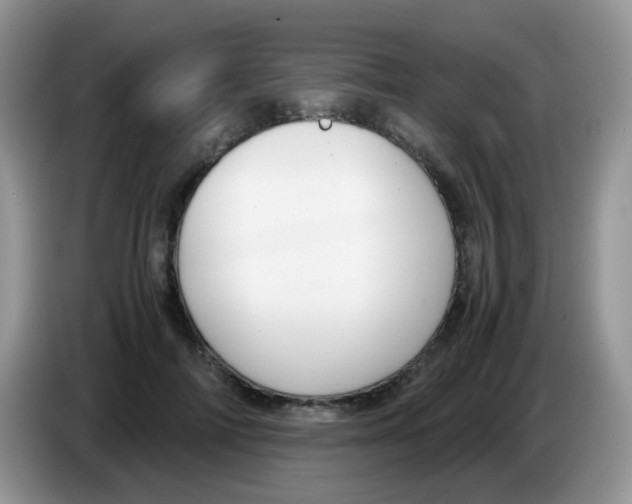 X0000086260698200704261956