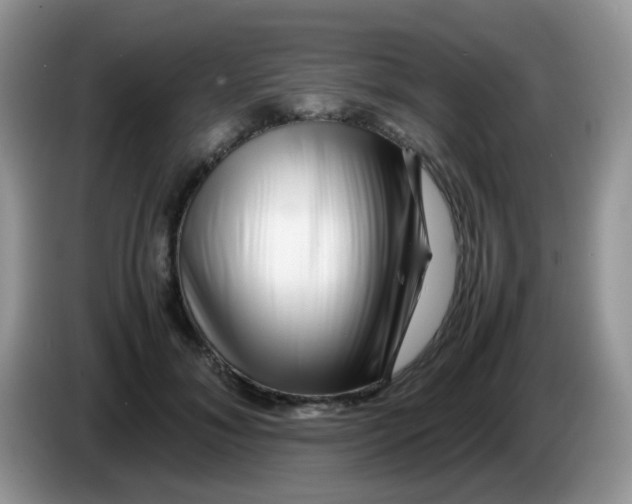 X0000086260700200704261956