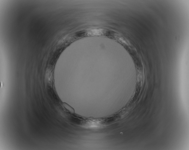 X0000086260701200704261956