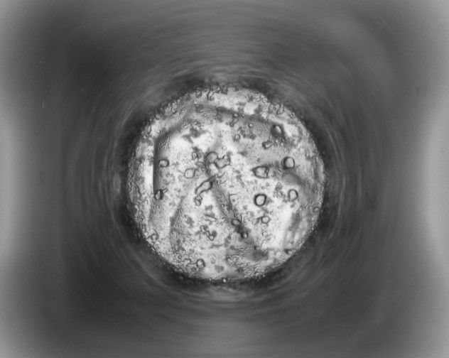 X0000086260703200704261956