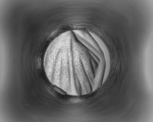 X0000086260704200704261956