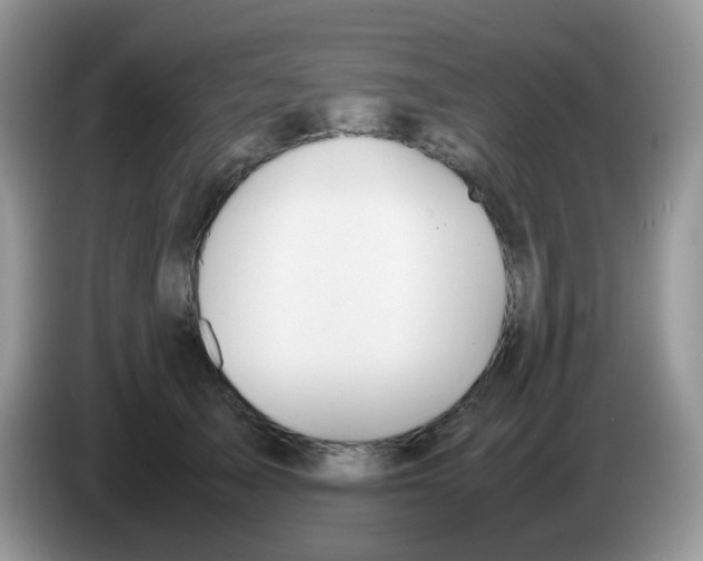 X0000086260705200704261956