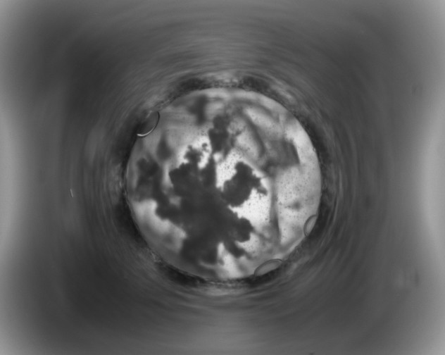 X0000086260707200704261956