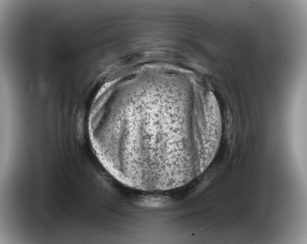 X0000086260708200704261956