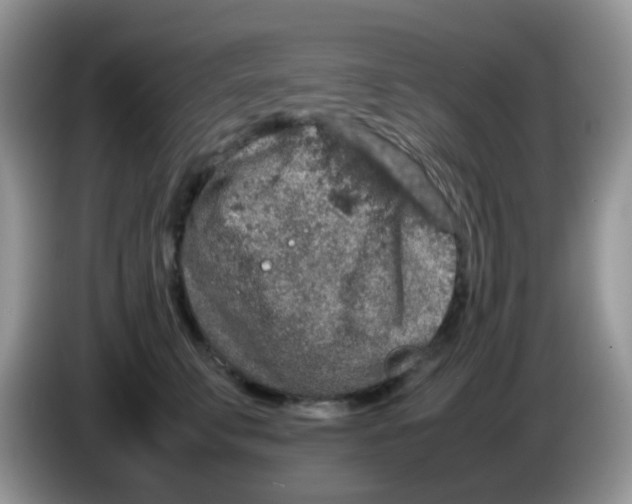 X0000086260711200704261956