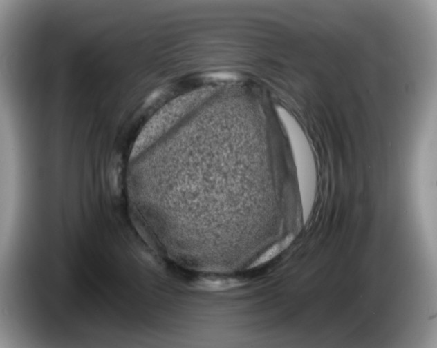 X0000086260712200704261956