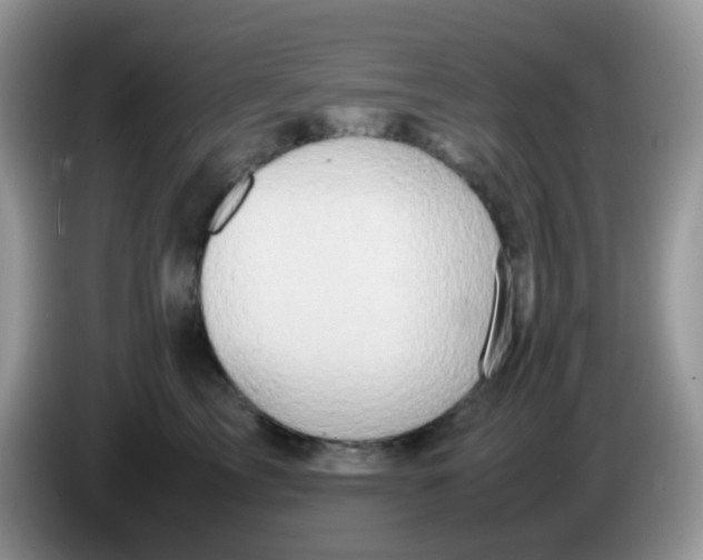 X0000086260713200704261956