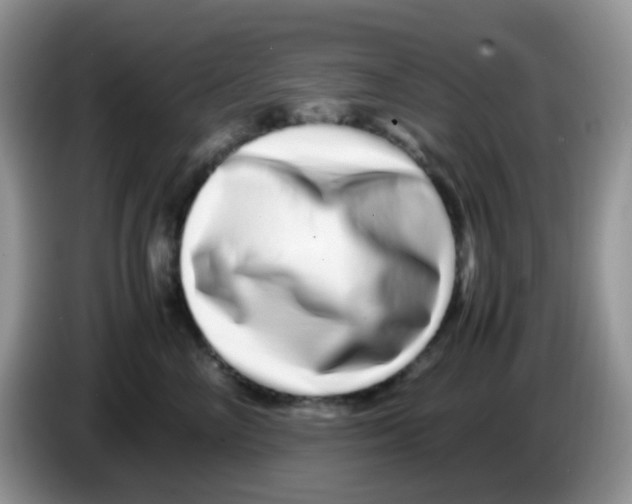 X0000086260714200704261956