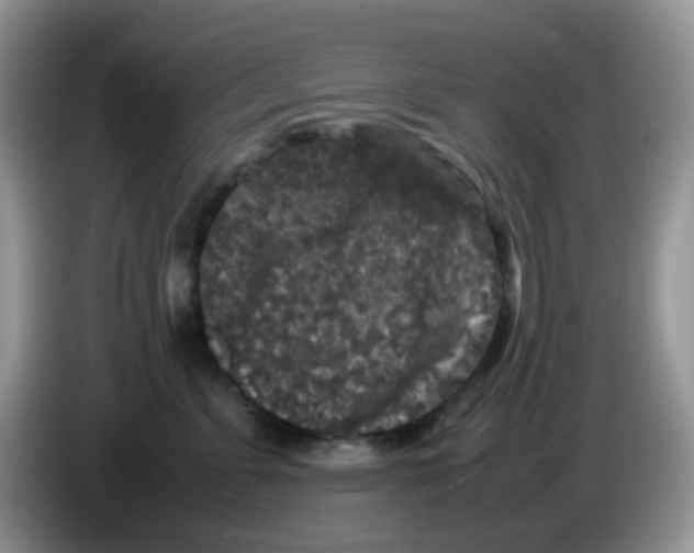 X0000086260715200704261956