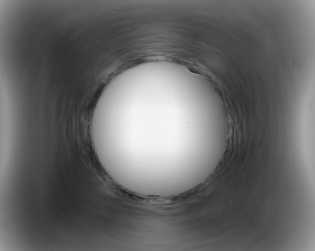 X0000086260716200704261956