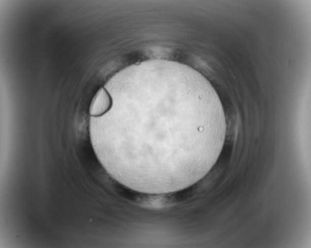 X0000086260717200704261956
