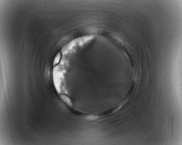 X0000086260718200704261956