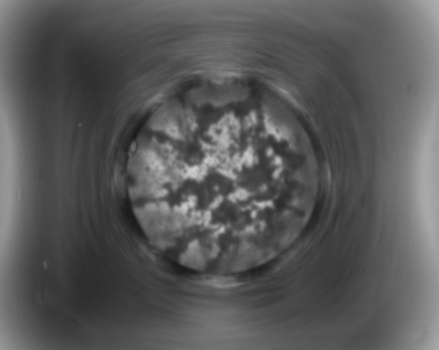 X0000086260719200704261956
