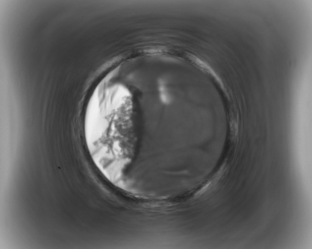 X0000086260721200704261955