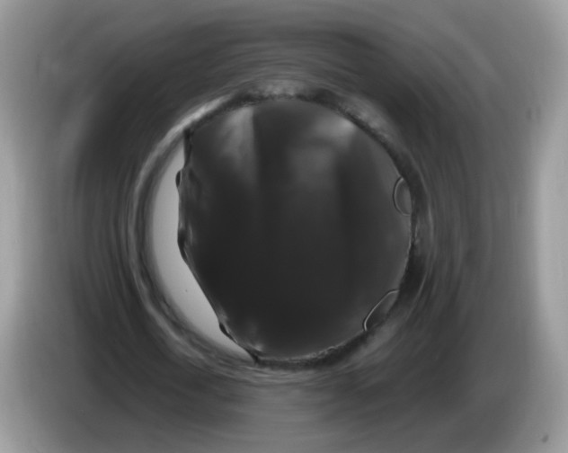X0000086260722200704261955