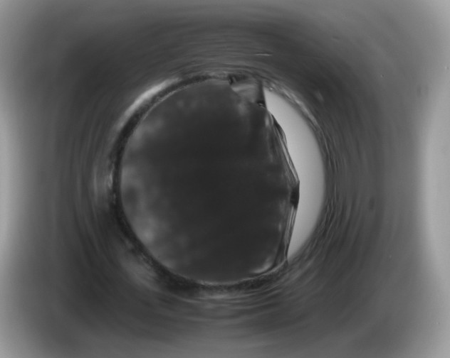 X0000086260723200704261955