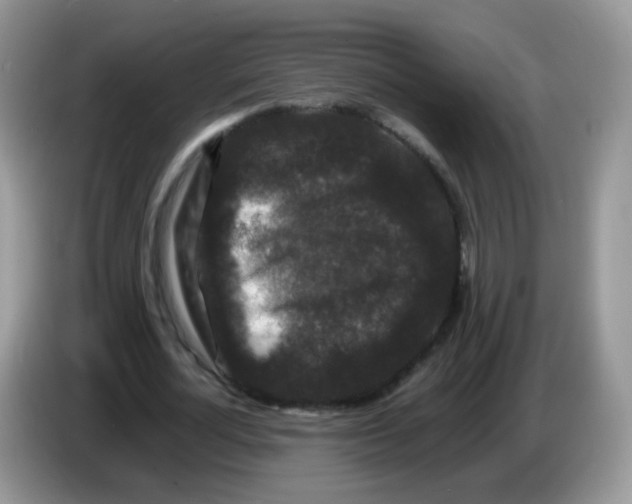 X0000086260724200704261955
