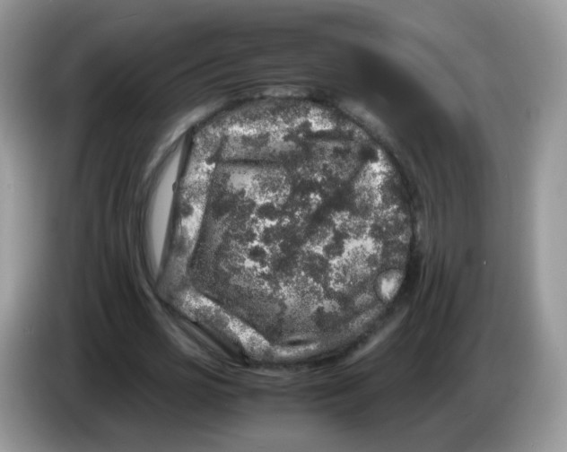 X0000086260725200704261955