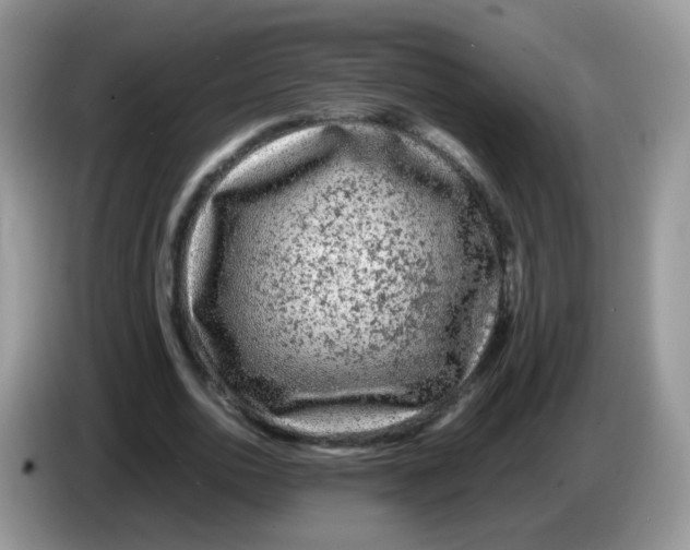 X0000086260726200704261955