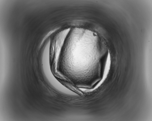 X0000086260727200704261955