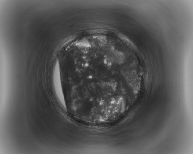 X0000086260729200704261955