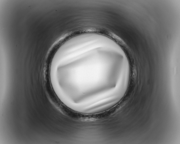 X0000086260730200704261955