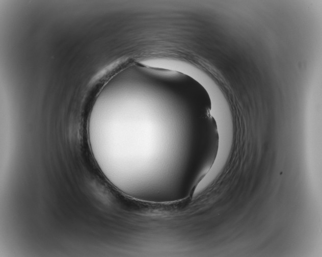 X0000086260732200704261955