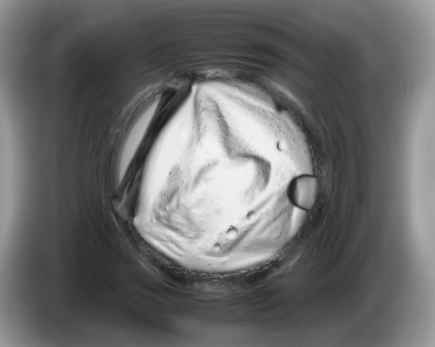 X0000086260733200704261955