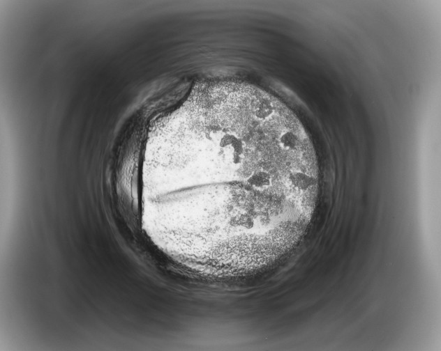 X0000086260734200704261955