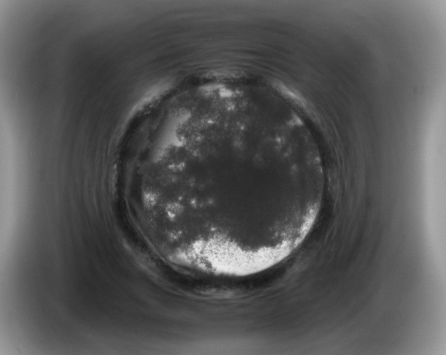 X0000086260735200704261955