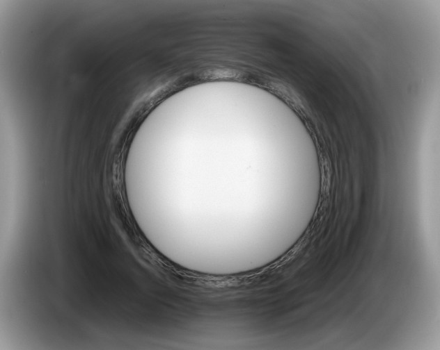 X0000086260736200704261955